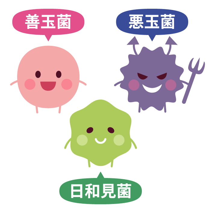 常在菌イラスト